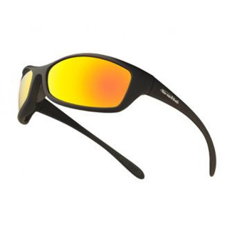 Bolle Veiligheidsbril nylon montuur